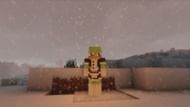 This skin looks like the Pepe meme. (Image via Minecraft)